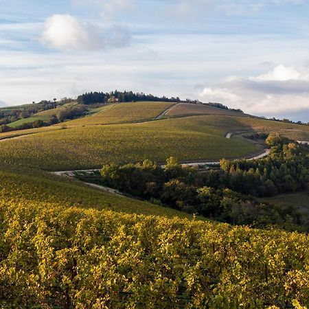 Отель Ca' Del Moro Wine Retreat Греццана Экстерьер фото