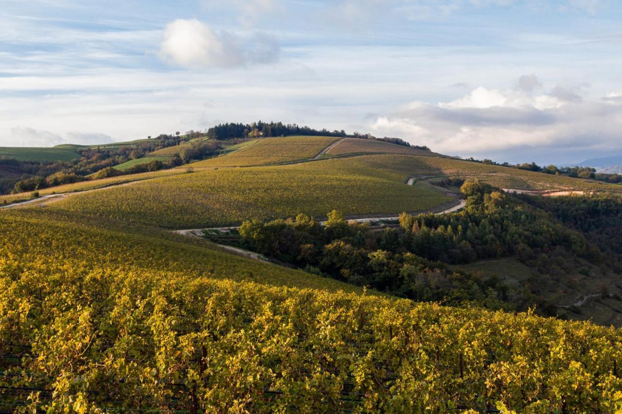 Отель Ca' Del Moro Wine Retreat Греццана Экстерьер фото